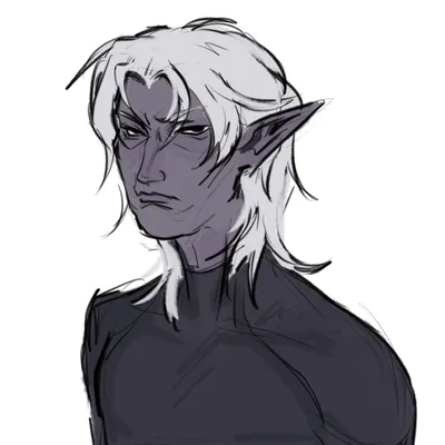 dnd char portrait